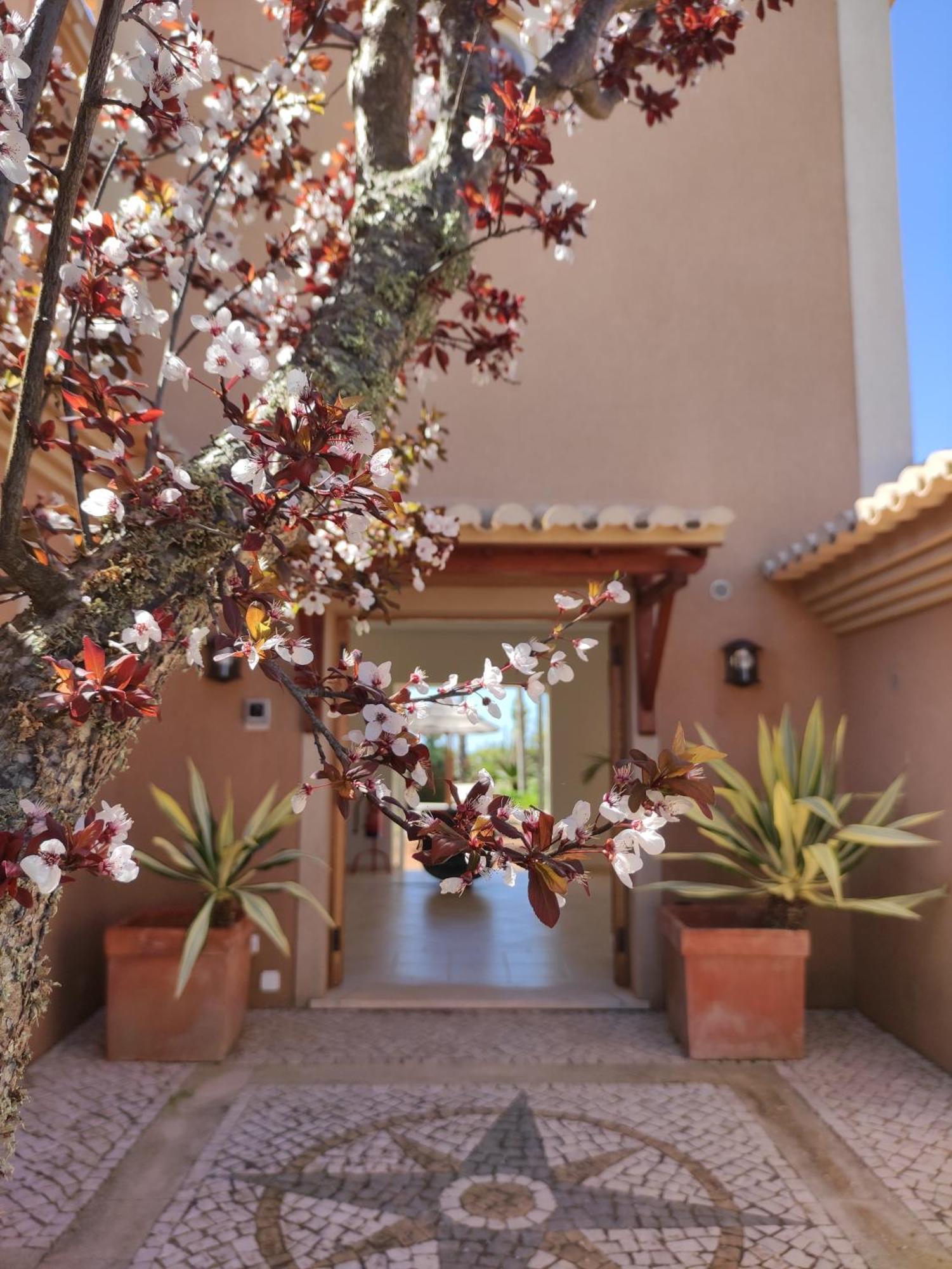 Casa Canavial Praia Da Luz Exterior photo